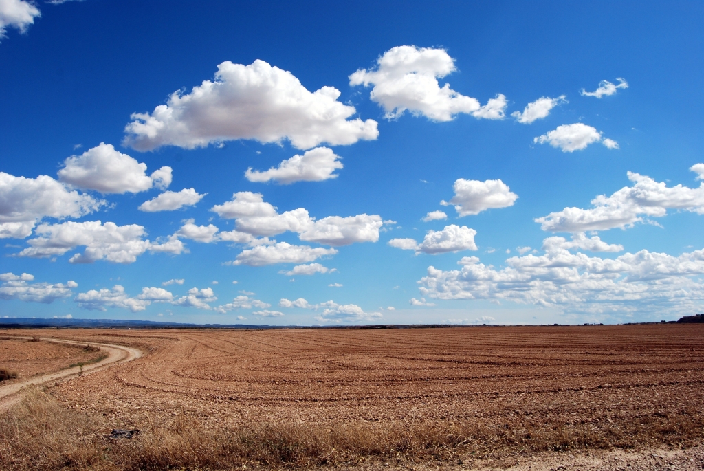 pcdazero-field-533541.jpg